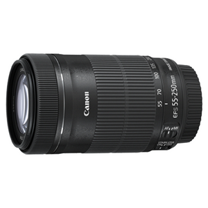 Canon EF-S55-250mm f/4-5.6 IS STM Lens