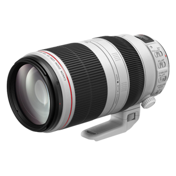 Canon EF100-400mm f/4.5-5.6L IS II USM Lens