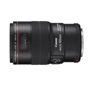 Canon EF100mm f/2.8L Macro IS USM Lens