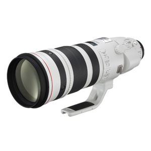 Canon  EF200-400mm f/4L IS USM Extender 1.4x Lens