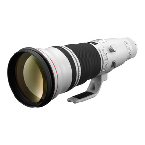 Canon EF600mm f/4L IS II USM Lens