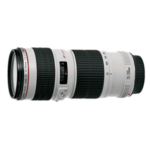 Canon EF70-200mm f/4L USM Lens