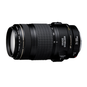 Canon EF70-300mm f/4-5.6L IS USM Lens