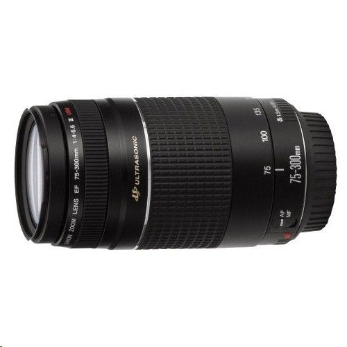 Canon EF75-300mm f/4-5.6 III Lens