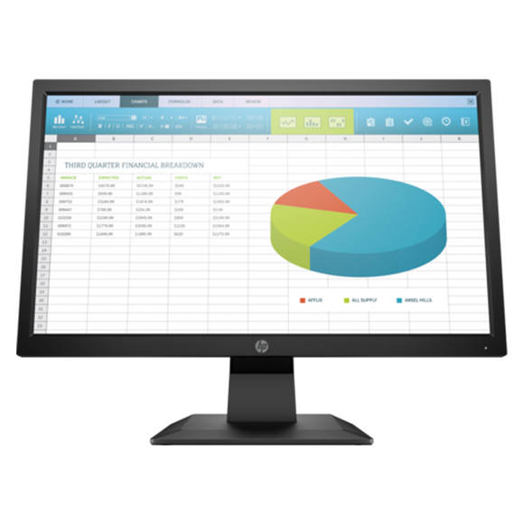 HP P204 19.5-inch Monitor