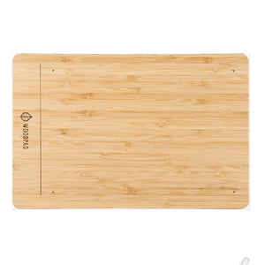 ViewSonic WoodPad 10 - 10" Bamboo Drawing Pad PF1030