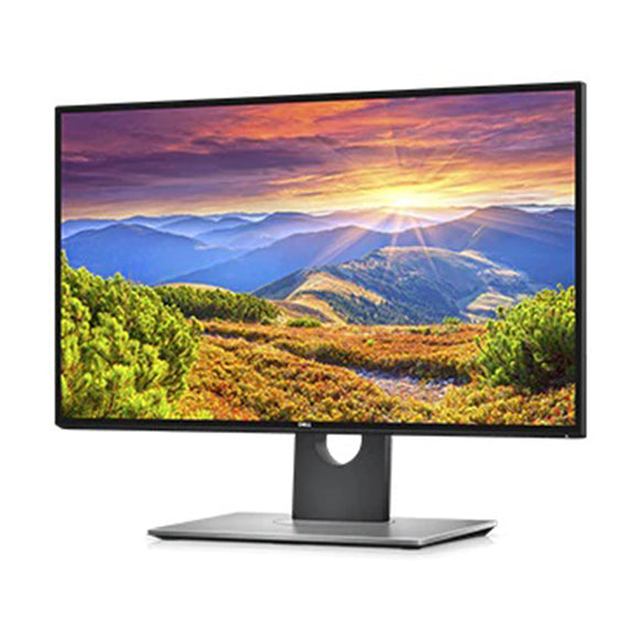 Dell UltraSharp 25